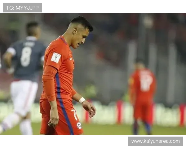 开云体育体育：推动体育产业数字化转型的先锋力量