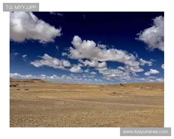 开云官网案例研究：从设计到运营实现品牌价值最大化的实战经验